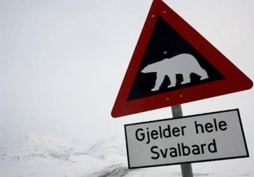 Farlige dyr i Norge